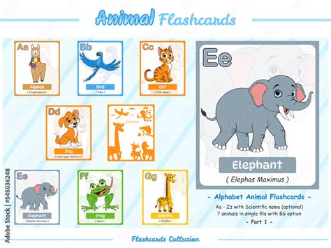 alphabet animals flashcards part 1 7 files in single file Stock Vector | Adobe Stock