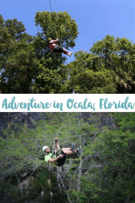 Go Ziplining in Ocala, Florida » Busy in Florida