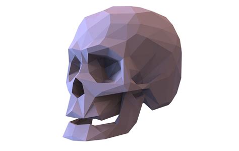 Skull Low Poly Model Human Skull 3d 3D model | CGTrader