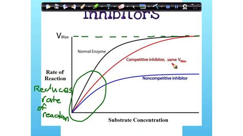 Enzymes -Inhibitors [graph] - YouTube