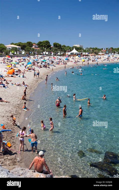 France Pyrenees Orientales Argeles sur Mer Argeles Plage the beach Stock Photo - Alamy