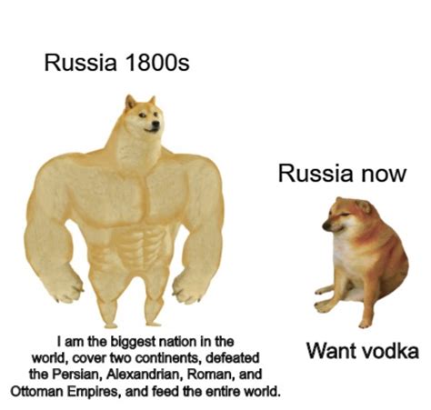 The best Vodka memes :) Memedroid