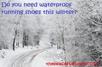 Waterproof Running Shoes