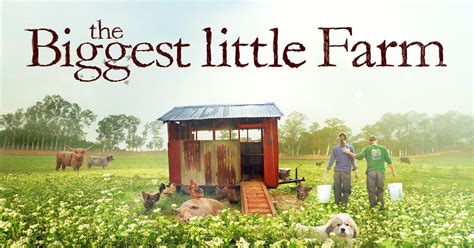 "The Biggest Little Farm" documentary (feat. Avett's song "Sun, Flood, or Drought") is now ...