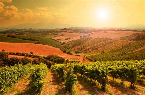 Five fall wine festivals in Tuscany | Italiarail