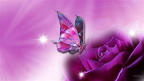 Animated Butterfly Wallpapers - Top Free Animated Butterfly Backgrounds - WallpaperAccess