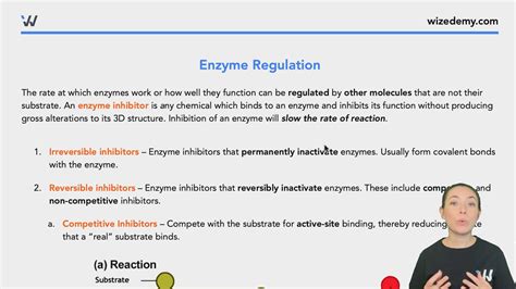 Enzyme Regulation - Wize University Biology Textbook | Wizeprep