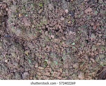 Wet Moist Soil Texture Background Stock Photo 572402269 | Shutterstock