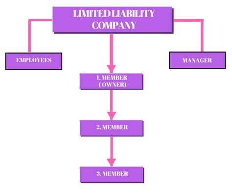 Limited Liability Company:Why choose an LLC as your Business Type?