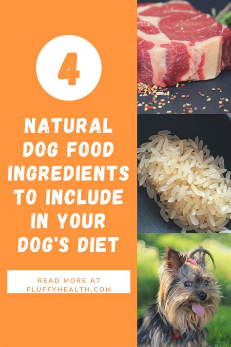 Natural Dog Food Ingredients To Include In Your Dog's Diet | Fluffyhealth