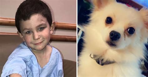 Brave 5-Year-Old Saves Baby Sister And the Family Dog From House Fire ...