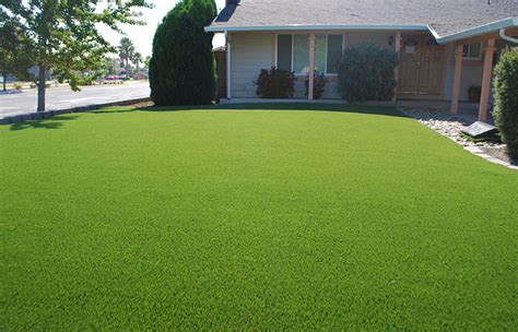 Grass Free Lawn Alternatives - Reliable Remodeler