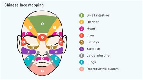 Face Mapping: Can You Use It to Improve Your Skin's Health? | Face mapping, Face mapping acne ...