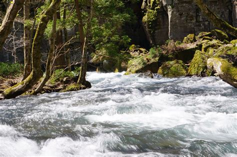 🔥 Oirase Gorge, Aomori, Japan : r/NatureIsFuckingLit