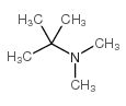 n,n-dimethyl-tert-butylamine | CAS#:918-02-5 | Chemsrc