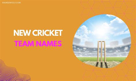 550+ Cricket Team Names To Make Your Opponent Clean Bowled – NamesWolf