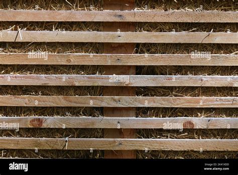 Wooden fence texture Stock Photo - Alamy