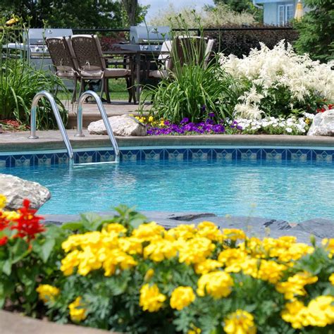 Best Landscaping Plants for Around a Pool | The Family Handyman