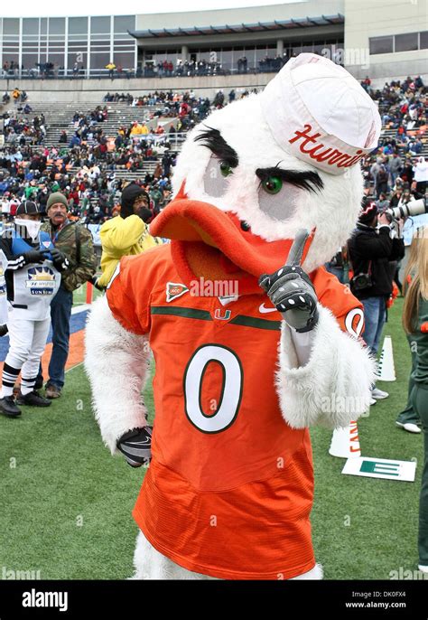 Dec. 31, 2010 - El Paso, Texas, U.S - The Miami Hurricanes mascot gives ...