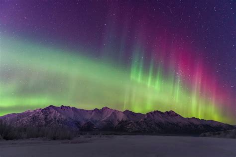 Alaska Northern Lights 2024 March 2024 - Jade Rianon