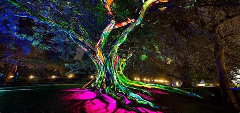 Electric Forest | Landart, art environnemental | Light art installation ...