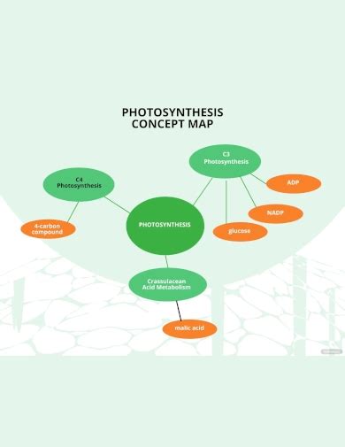 Concept Map - Examples, PDF, Word, Apple Pages, How to Create