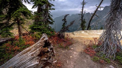 Washington Pass Fall Colors Photograph by Bob Juarez - Fine Art America