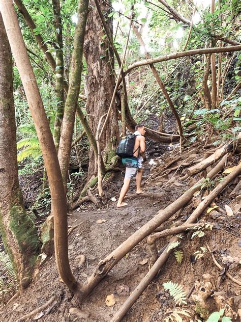 WAILUA FALLS HIKE ON KAUAI, HAWAII - Journey Era