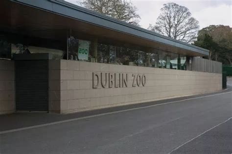 Dublin Zoo announces ambitious conservation 'master plan' - Dublin Live