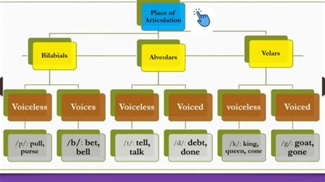 English Plosive Sounds | Manner & Place of Articulation | An Introduction to Phonetics ...