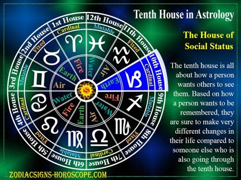 Tenth House in Astrology: The House of Social Status | 10th House Zodiac