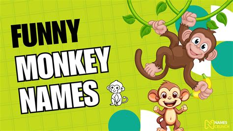 300+ Funny Monkey Names That Are Hilarious! - Names Crunch