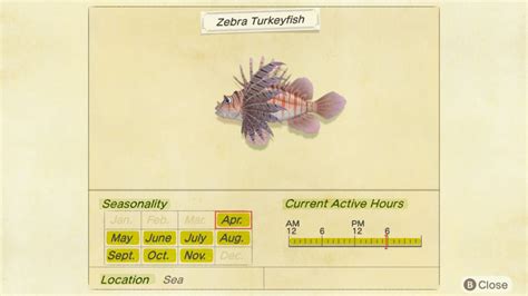 Animal Crossing: New Horizons: How To Catch The Zebra Turkeyfish - Cultured Vultures