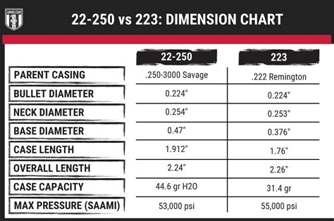 22-250 vs 223: Hunting Caliber Comparison by Ammo.com