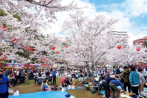 榴岡公園の桜(宮城県)｜桜名所 お花見特集2020 - ウォーカープラス