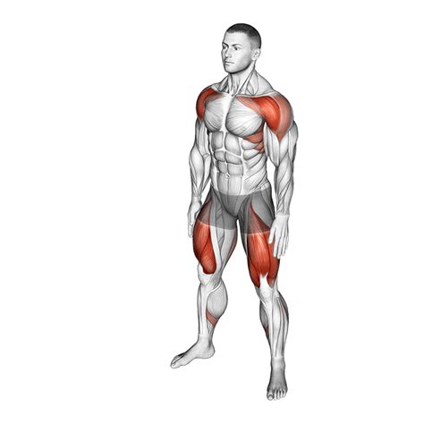 Bodyweight squat | 🌈Squat Standards for Men and Women (lb)