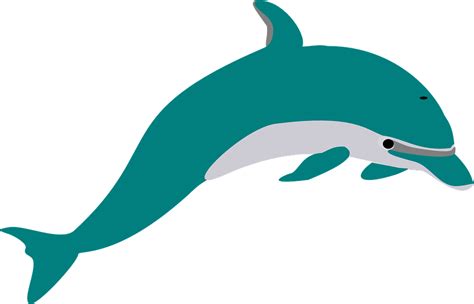 Dolphin PNG