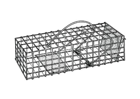 MINK/SQUIRREL CAGE TRAP, 23″x 7″x 6″ | J Todd & Son