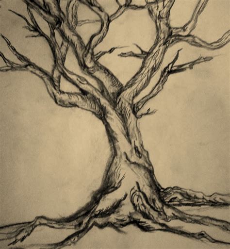 Tree Drawing | Tree drawings pencil, Tree drawing, Tree sketches