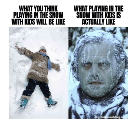 20 New Snow Day Memes: When Cold Weather Meets Hot Humor