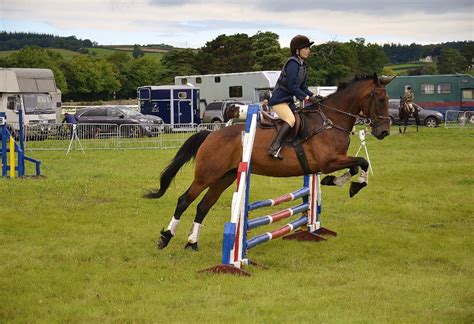 Horse Riding Lessons: Learn & Become a Horse Rider – Nightcourses.co.uk