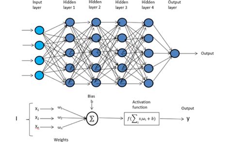 Multi-layer perceptron showing the working of the neural network using... | Download Scientific ...