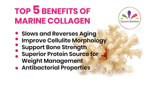 Top 5 Benefits of Marine Collagen | Dynamic Nutrition