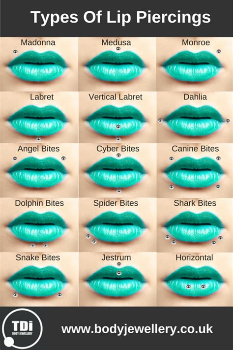 Guide to Lip Piercing Types | TDi Body Jewellery Blog