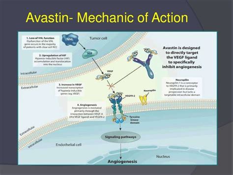 How 3 d oct enhances amd & dme treatment