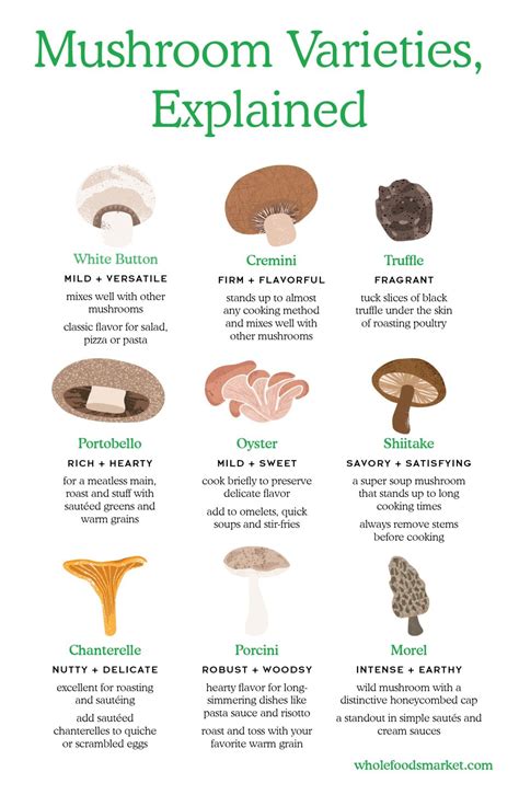 Mushrooms: A Culinary Treasure | Mushroom varieties, Portobello and Oysters