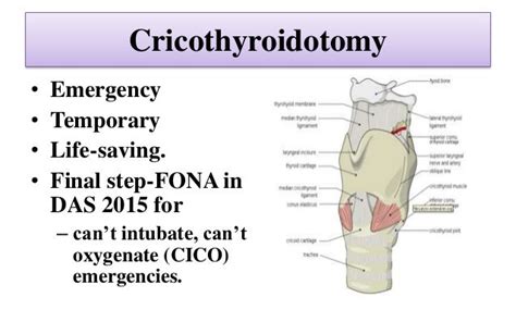 Surgical airway techniques