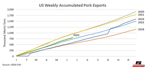 Hog Market Update: June 2023