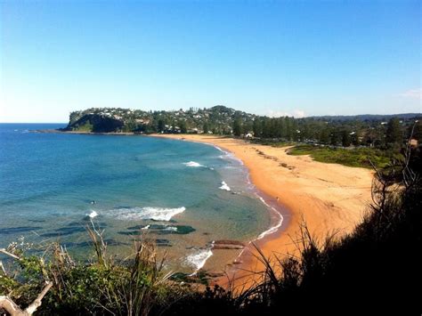 Newport Beach | Northern Beaches Attraction | Newport beach sydney ...