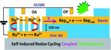 Self-induced redox cycling coupled luminescence on nanopore recessed disk-multiscale bipolar ...